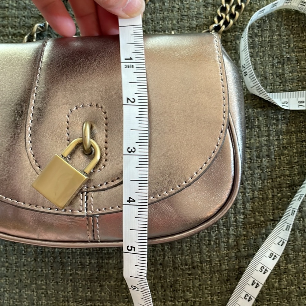 Banana Republic leather metallic cross body purse - Picture 11 of 11